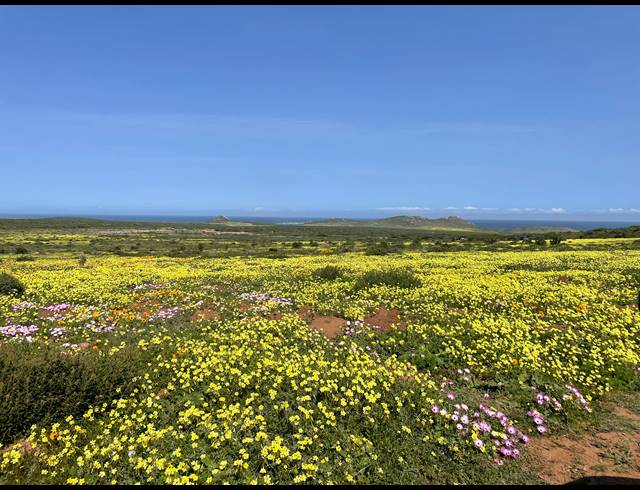 728M² VACANT LAND FOR SALE IN MYBURGH PARK